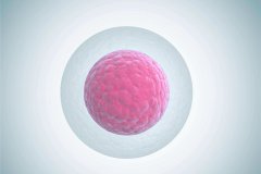 多囊卵巢综合征是什么?
