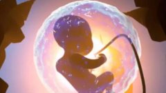 Hello IVF：胚胎移植前，哪些指标需要达标？